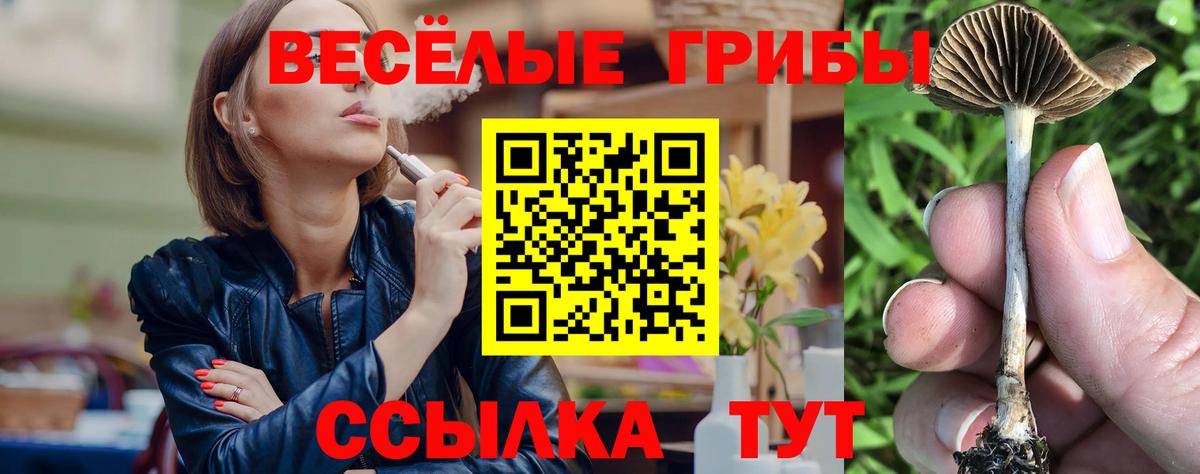 Псилоцибиновые грибы ЛСД  Вход с VPN  Арзамас 